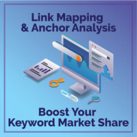 Link Mapping & Anchor Analysis