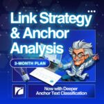 link strategy & anchor analysis