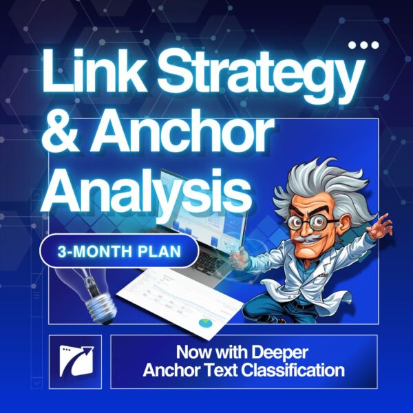 link strategy & anchor analysis