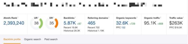 ecommerce seo results